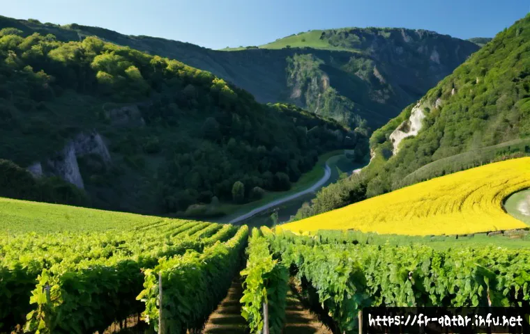 Depuis Doha : comment choisir une excursion dans le désert selon votre budget, votre confort et vos envies 4 카타르 사막 사파리 관련 이미지 2